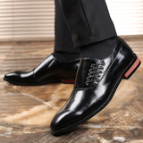 Tomas - Zapatos Elegantes Chic